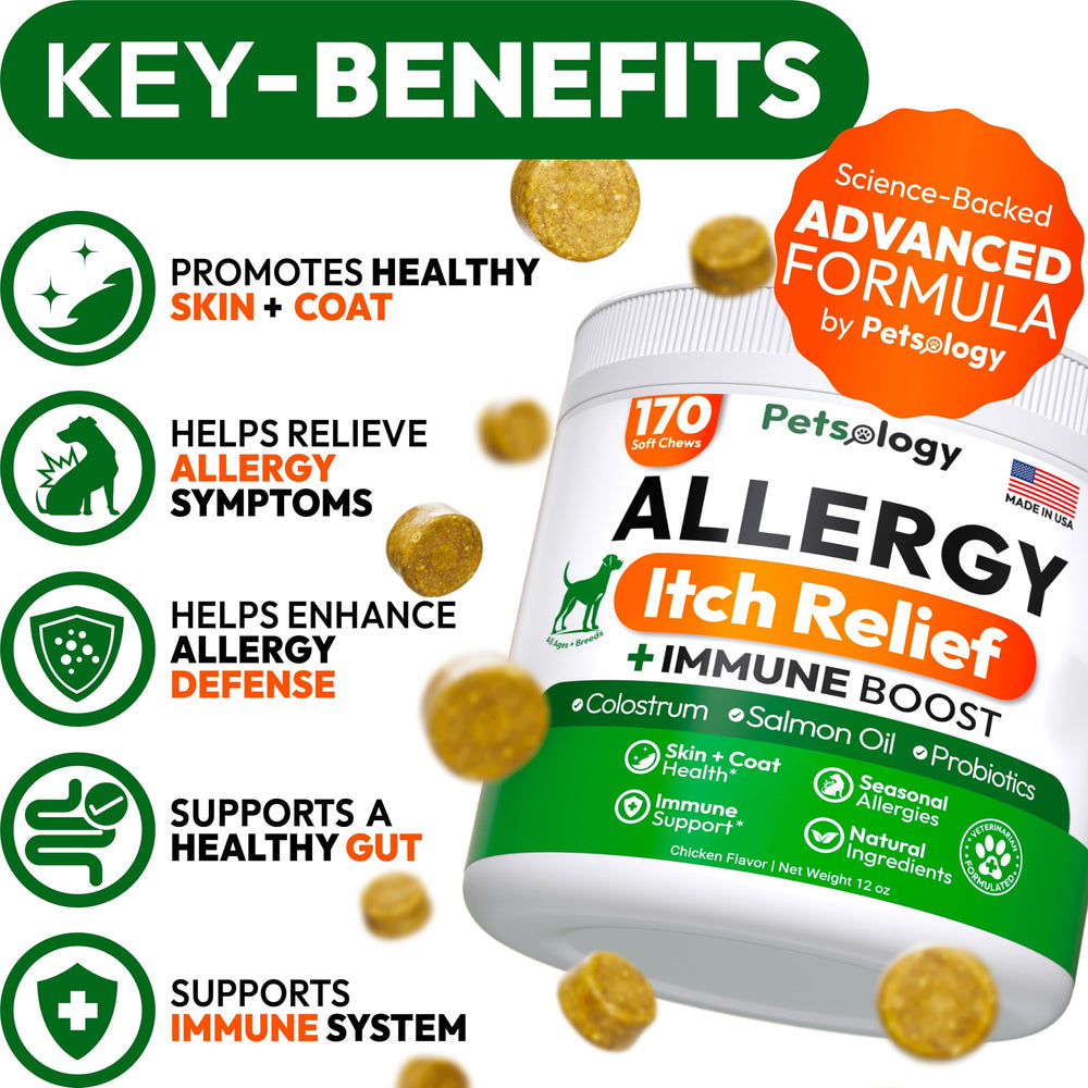 Petsology Dog Allergy Relief Chews packaging box, USA-made convenience and vet-formulated care.