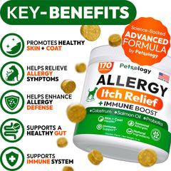 Petsology Dog Allergy Relief Chews packaging box, USA-made convenience and vet-formulated care.