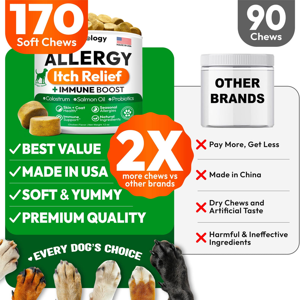 Petsology Dog Allergy Relief Chews probiotics and nutrients support skin health.