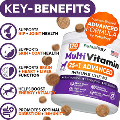 Petsology dog multivitamin chew closeup shows easy-to-chew texture for daily use.