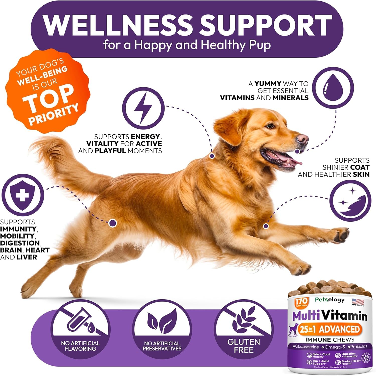 Petsology dog multivitamin chew closeup emphasizes palatable texture for convenient dosing.