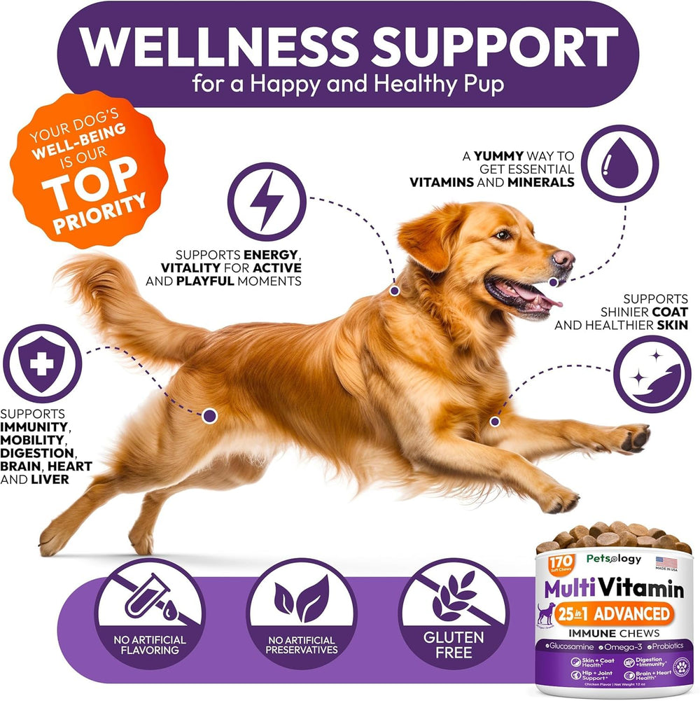 Petsology dog multivitamin chew closeup emphasizes palatable texture for convenient dosing.