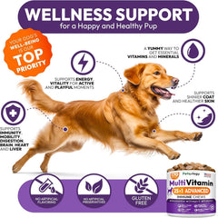 Petsology dog multivitamin chew closeup emphasizes palatable texture for convenient dosing.