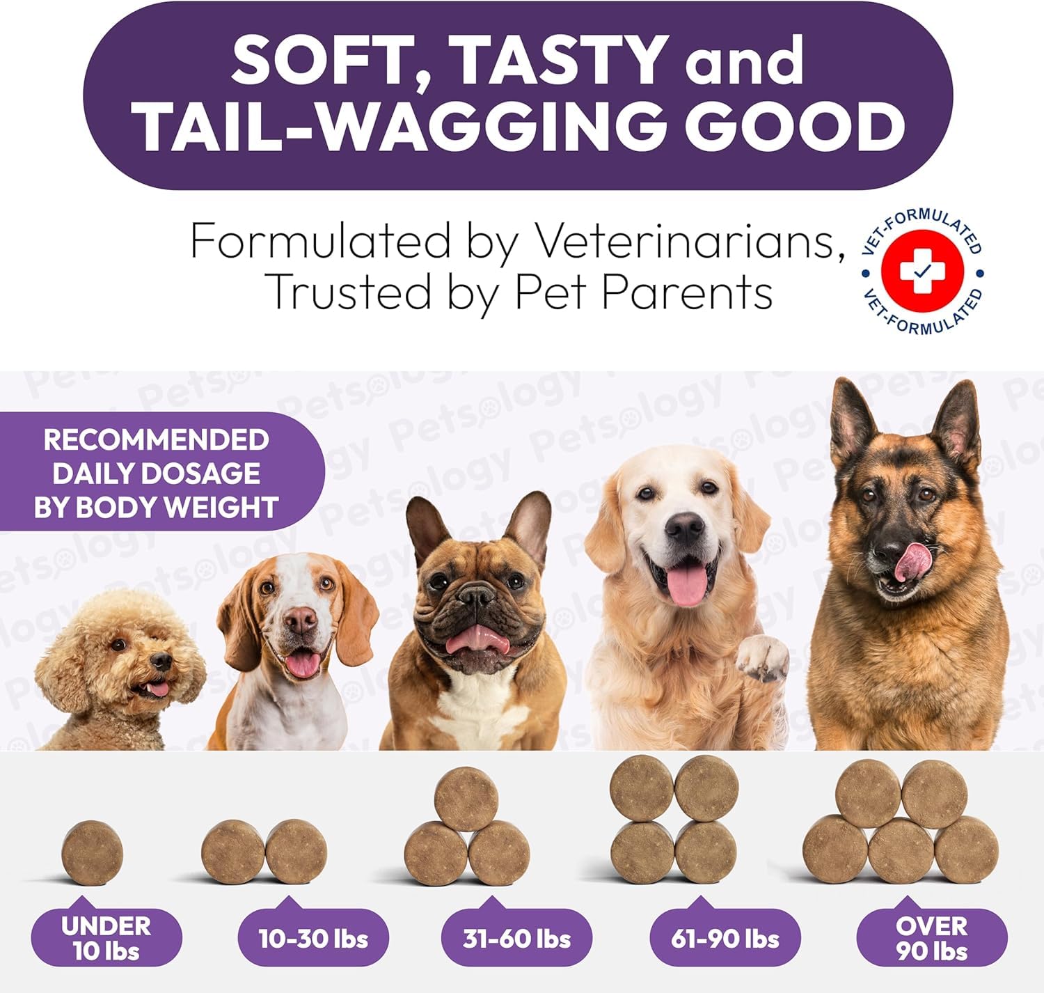 Petsology dog multivitamin being chewed demonstrates simple daily care for dogs of all ages.
