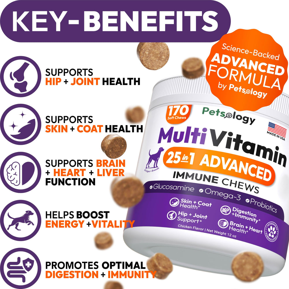 Petsology dog multivitamin chews on hand illustrate easy daily supplementation for wellness.