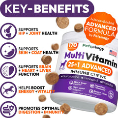 Petsology dog multivitamin chews on hand illustrate easy daily supplementation for wellness.