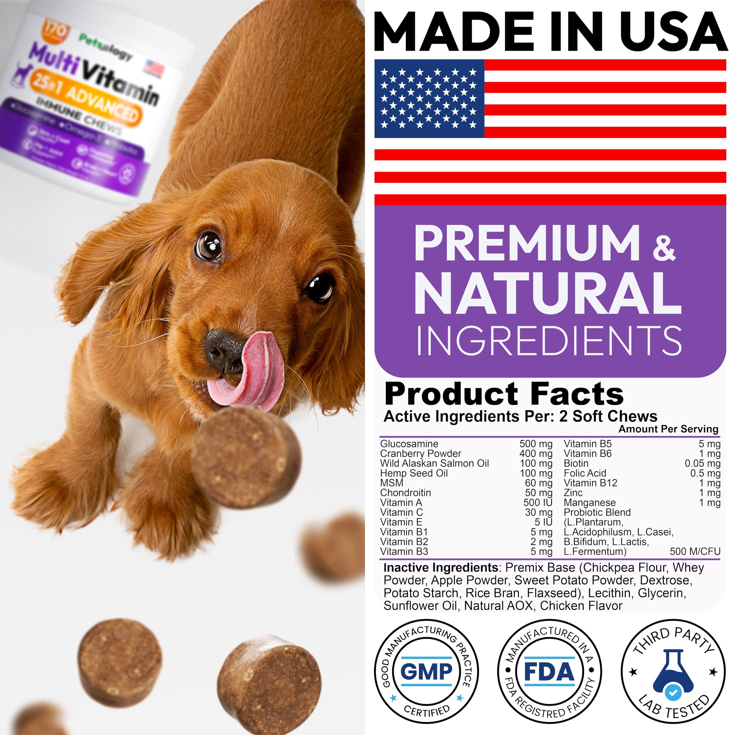 Petsology dog multivitamin digestion image with bowl promotes balanced digestion and comfort.