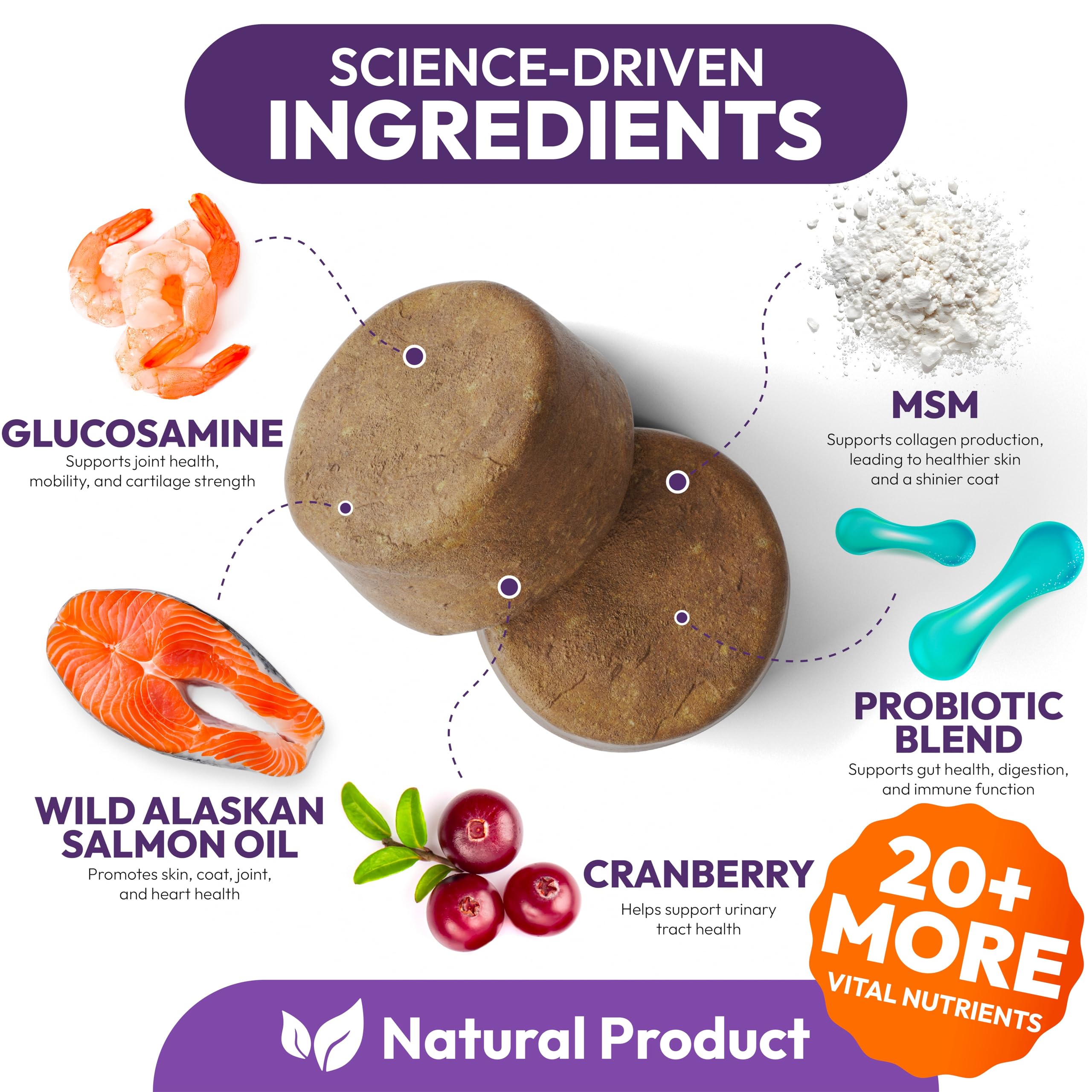 Petsology dog multivitamin glucosamine image highlights potential joint support for mobility.