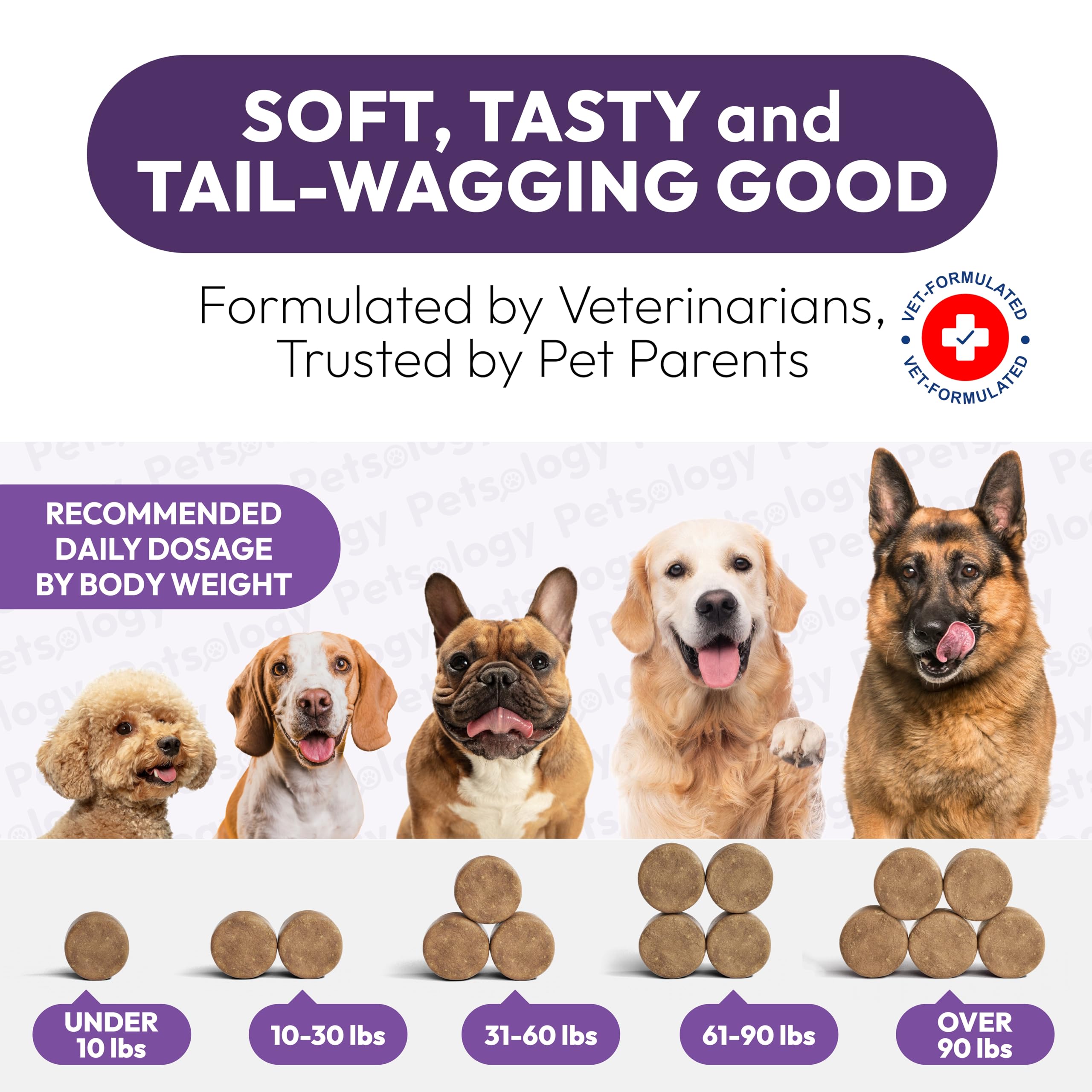 Petsology dog multivitamin immune health image implies better everyday resilience.