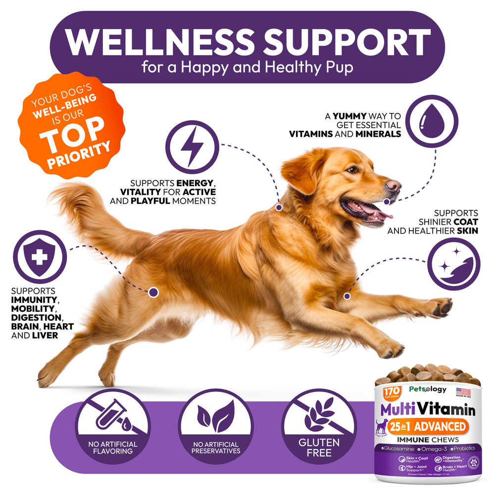 Petsology dog multivitamin probiotics ingredients close-up suggests gut health and immune support.