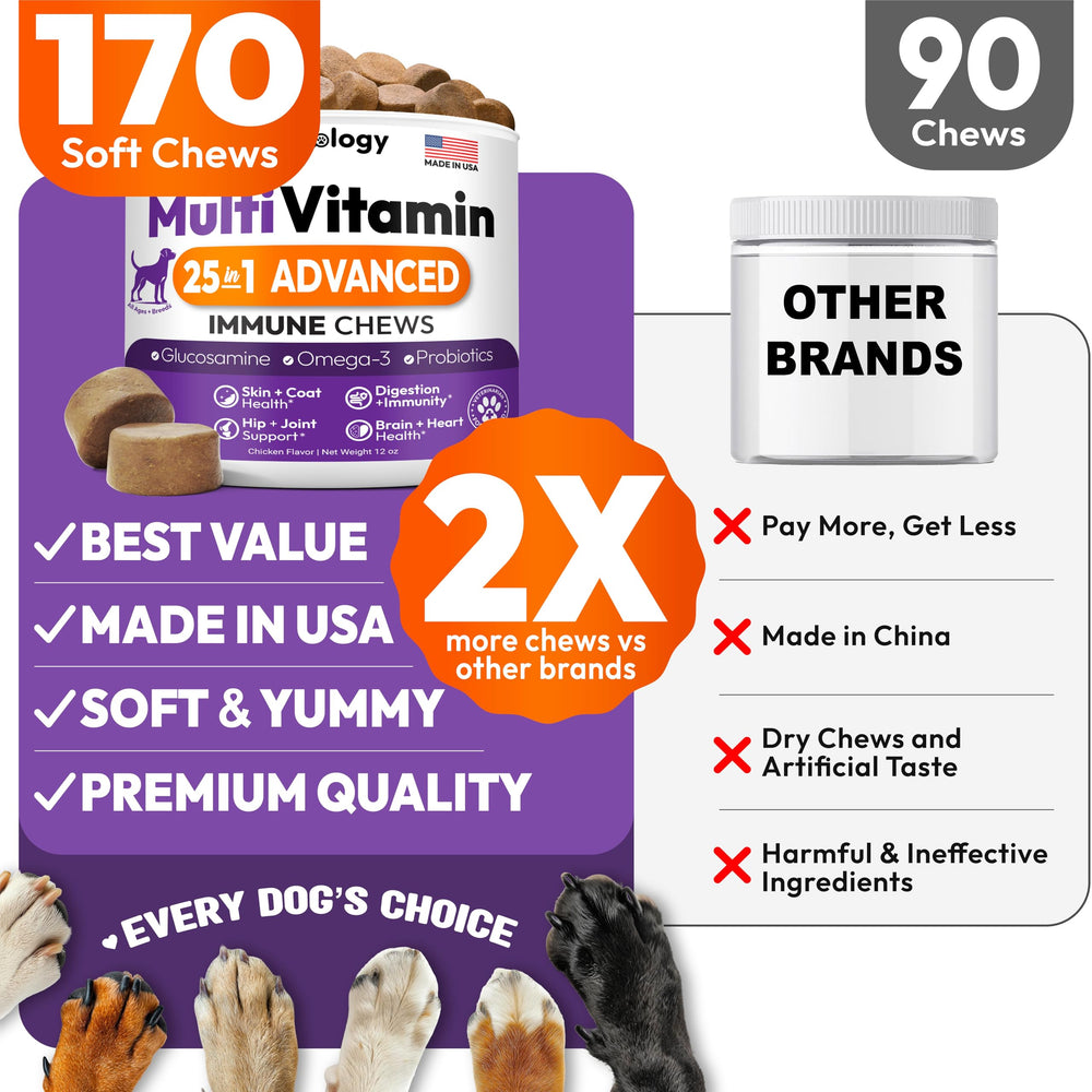 Petsology dog multivitamin skin coat image emphasizes shine and healthy fur benefits.