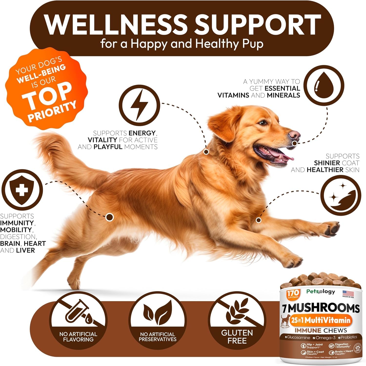 Petsology Turkey Tail dog supplement dispensing demonstrates easy daily dosing.