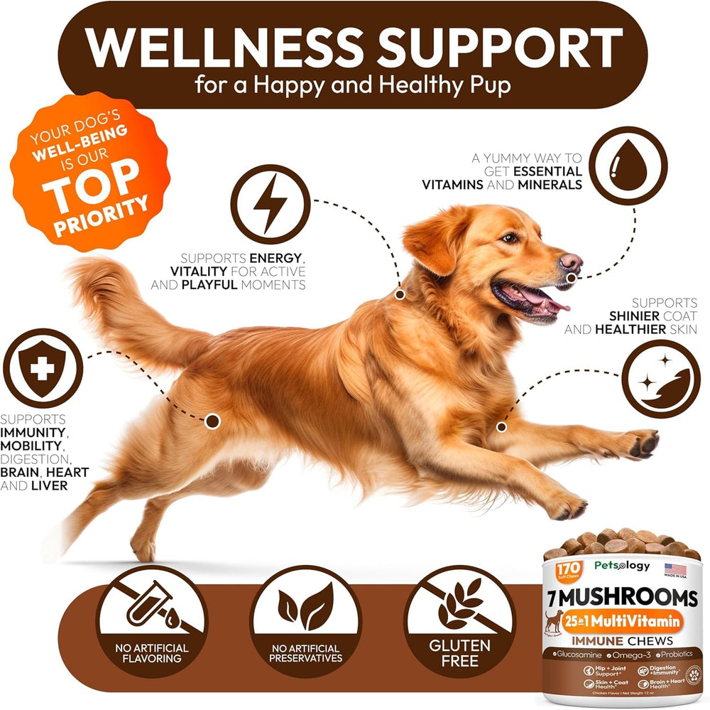 Petsology Turkey Tail dog supplement dispensing demonstrates easy daily dosing.