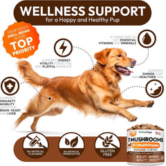 Petsology Turkey Tail dog supplement dispensing demonstrates easy daily dosing.