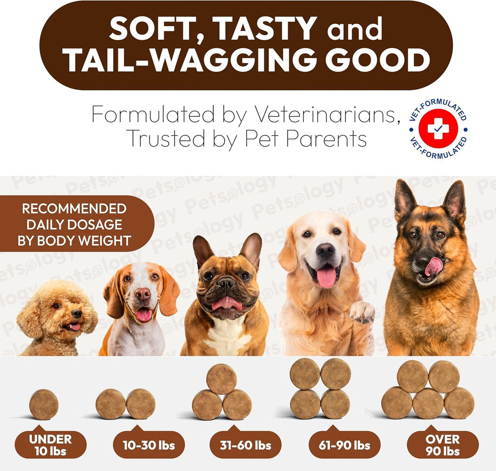 Petsology dogs enjoying chews demonstrates tastiness and routine compliance.