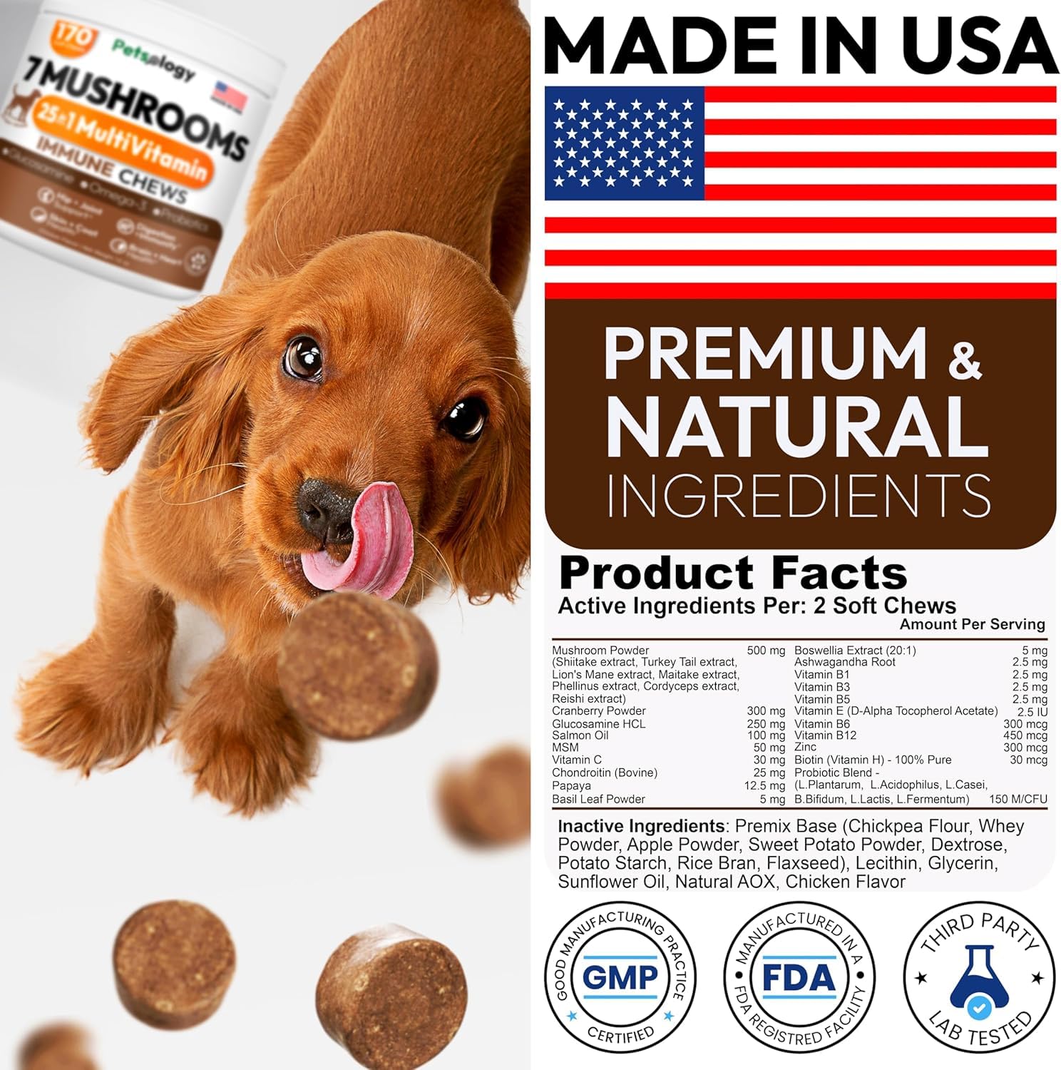 Petsology glucosamine-dog-supplement-treat image highlights joint comfort support for active dogs.