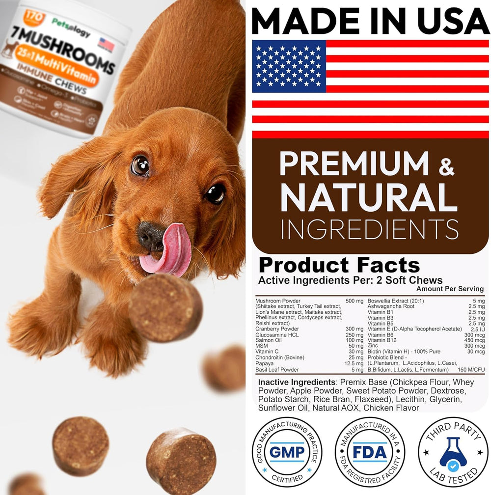 Petsology glucosamine-dog-supplement-treat image highlights joint comfort support for active dogs.