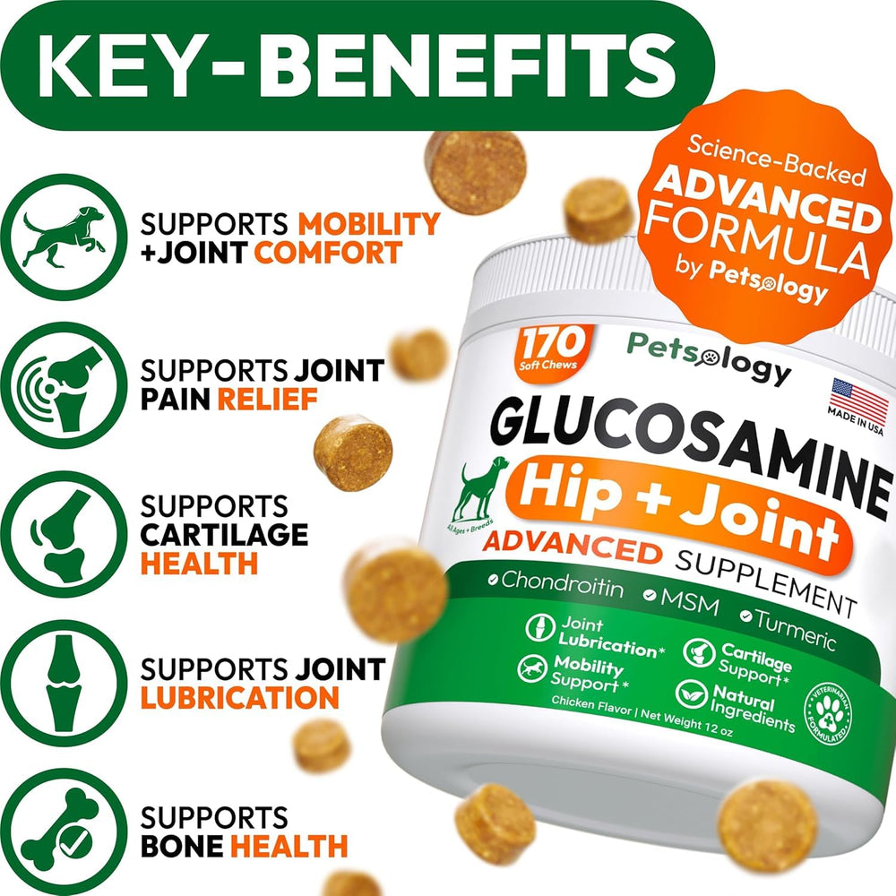 Petsology glucosamine dog chews ingredients closeup highlights premium joint health formulation.