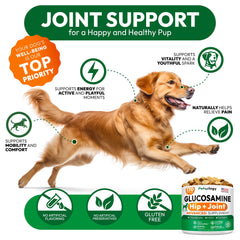 Petsology Glucosamine for Dogs dog chewing action shot demonstrates easy administration