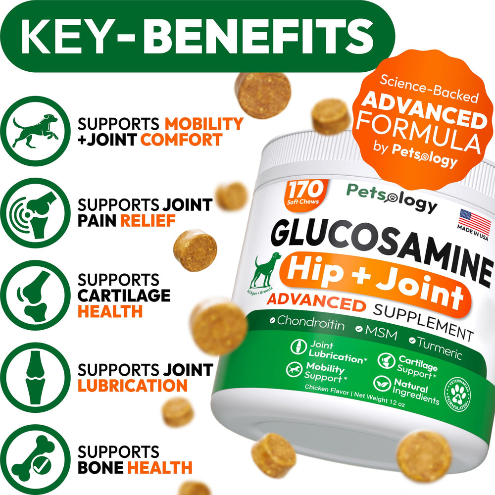 Petsology Glucosamine for Dogs packaging highlights premium joint support formula