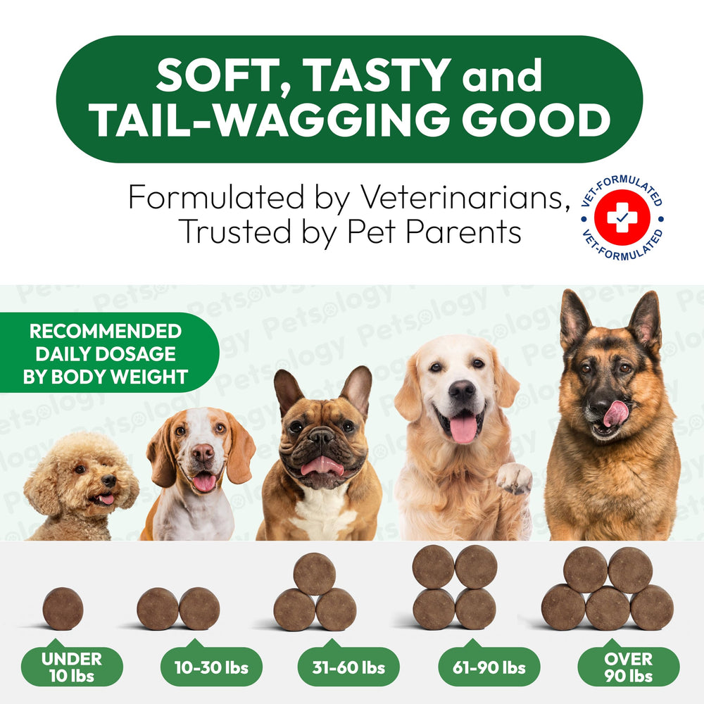 Petsology Hemp Calming Chews product shows relaxed-dog expression after use.