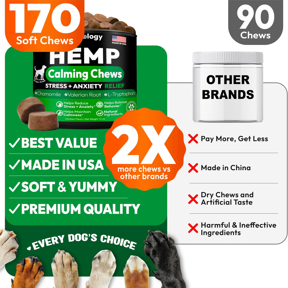 Petsology Hemp Calming Chews dog sealed bag highlights stress-relief and mood balance potential.
