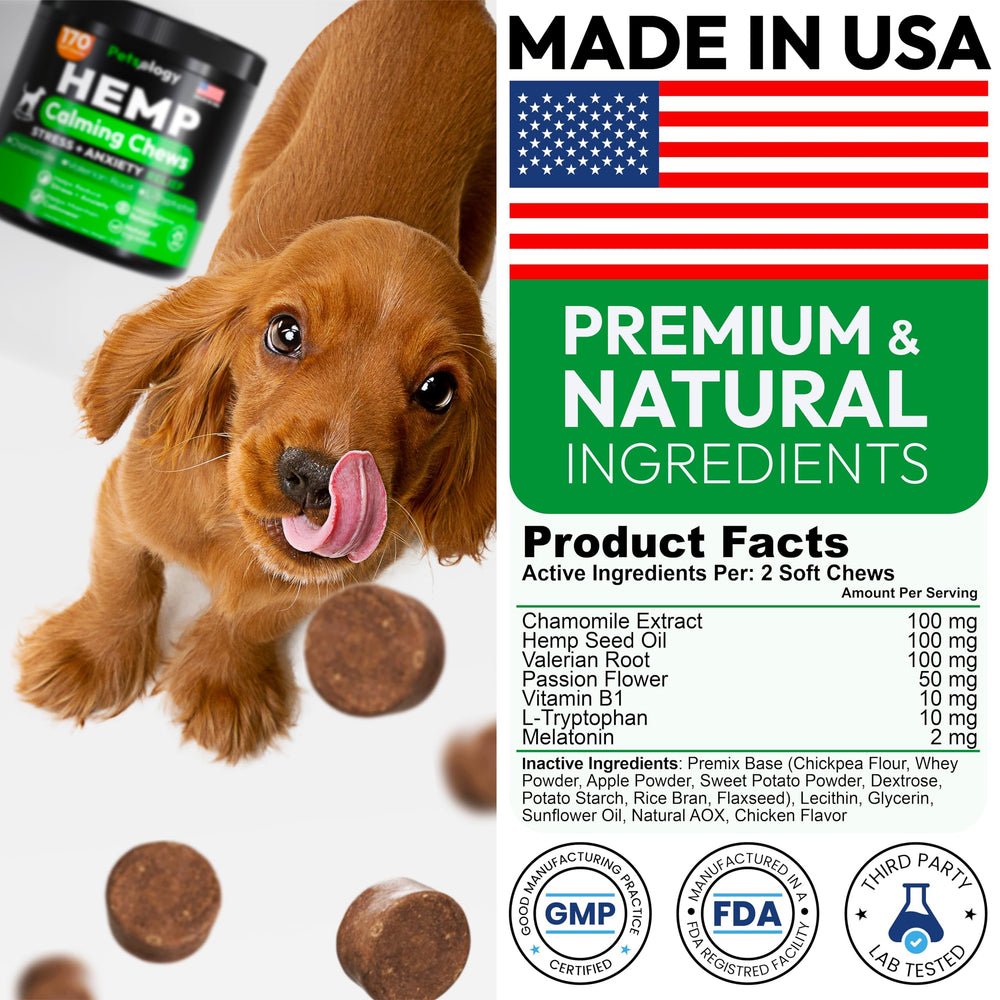 Petsology Calming Chews on-hand sample demonstrates easier grooming and vet-visit calm.
