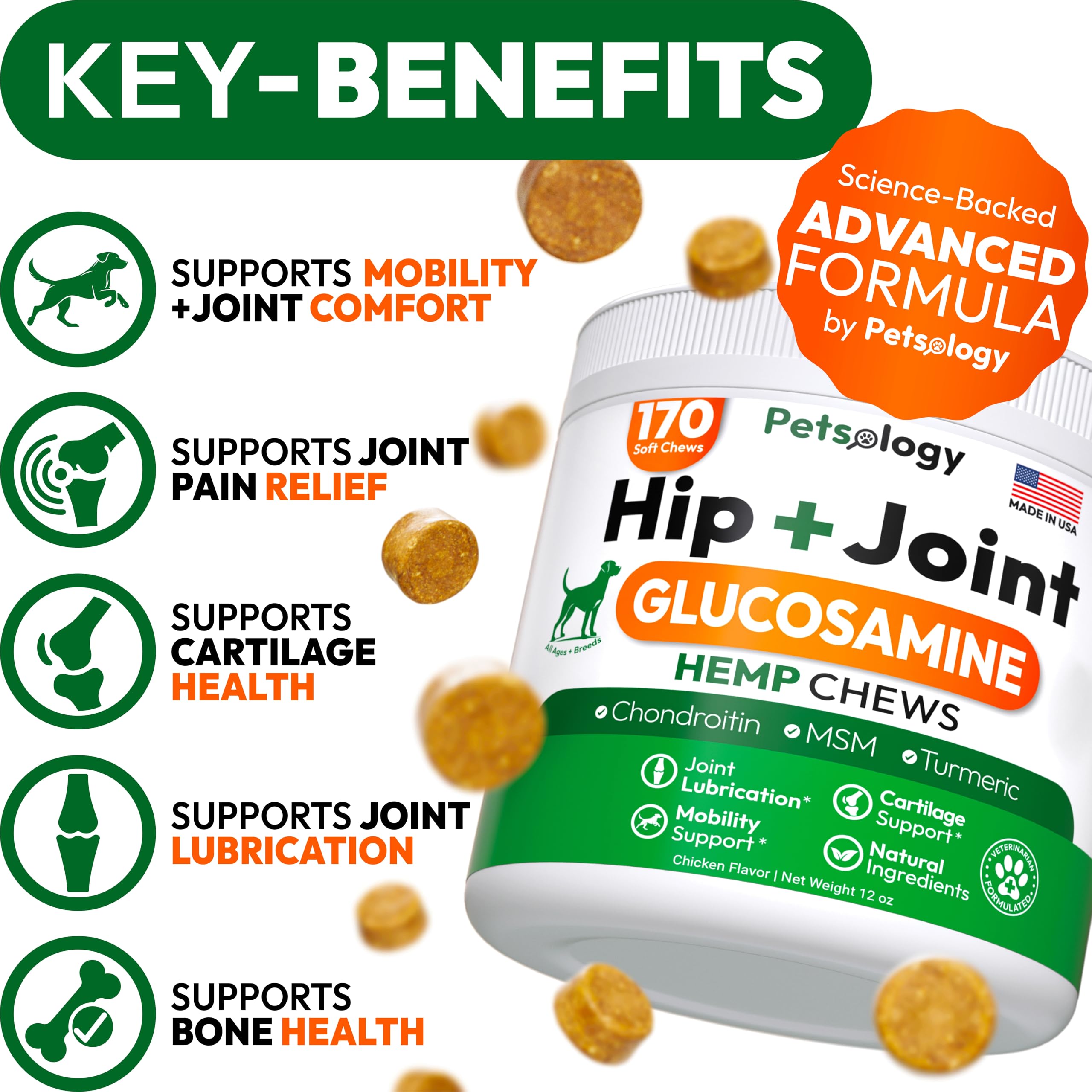 Petsology hemp hip and joint chews dog running showing active mobility potential.