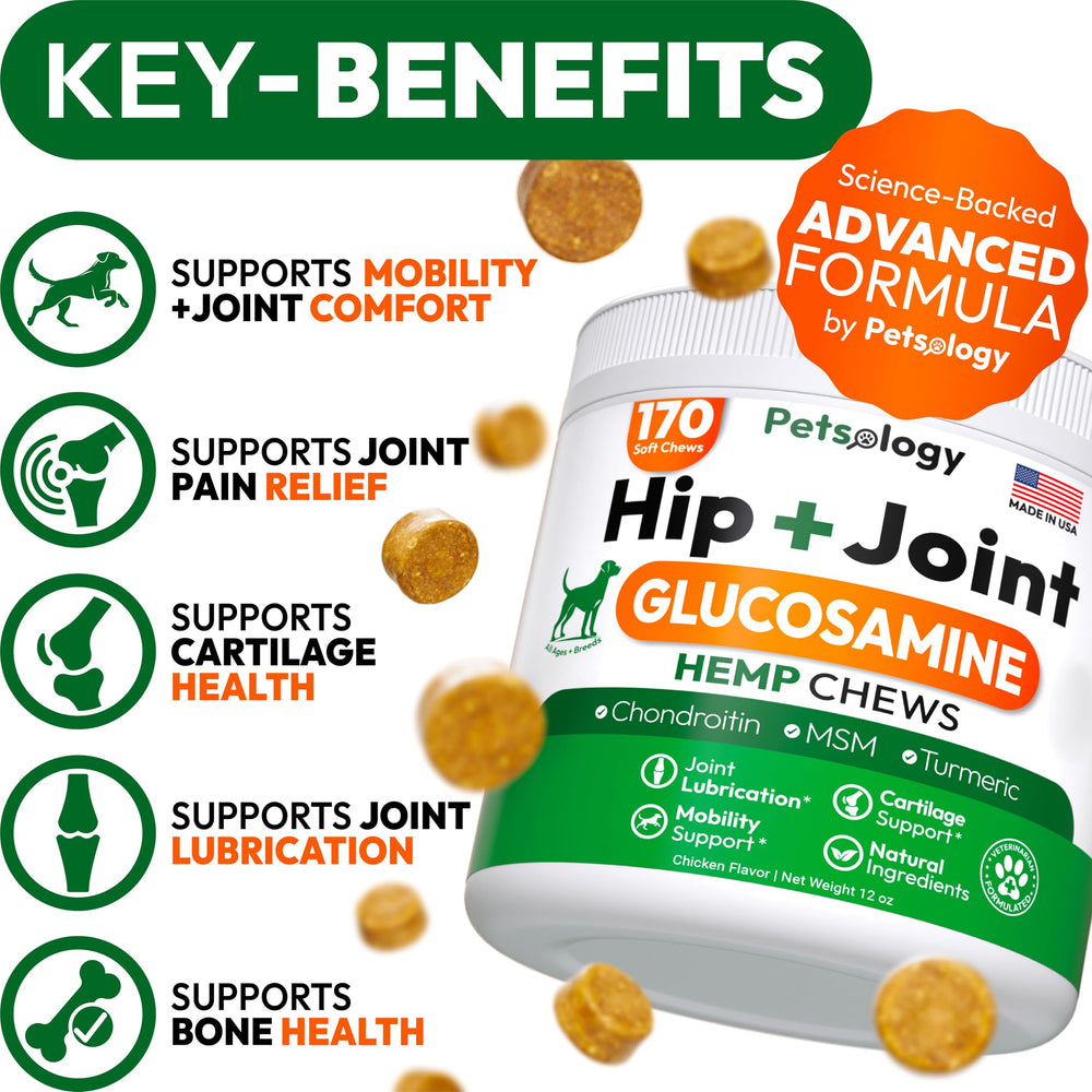 Petsology hemp hip and joint chews dog running showing active mobility potential.