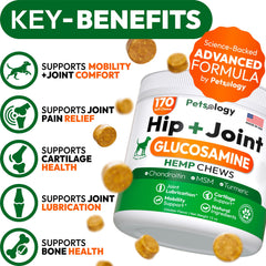 Petsology hemp hip and joint chews dog running showing active mobility potential.