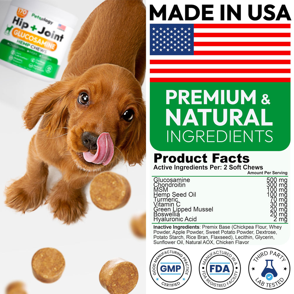 Petsology hemp hip and joint chews with MSM and turmeric for joint comfort.