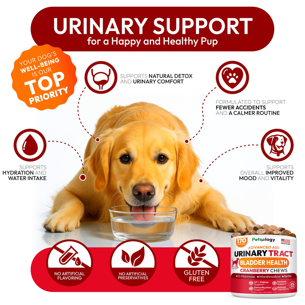 Petsology ingredientes naturales arándano y d-manosa para perros.