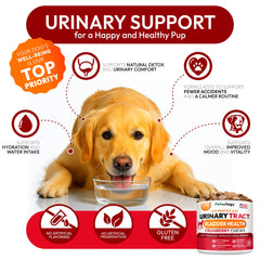 Petsology ingredientes naturales arándano y d-manosa para perros.