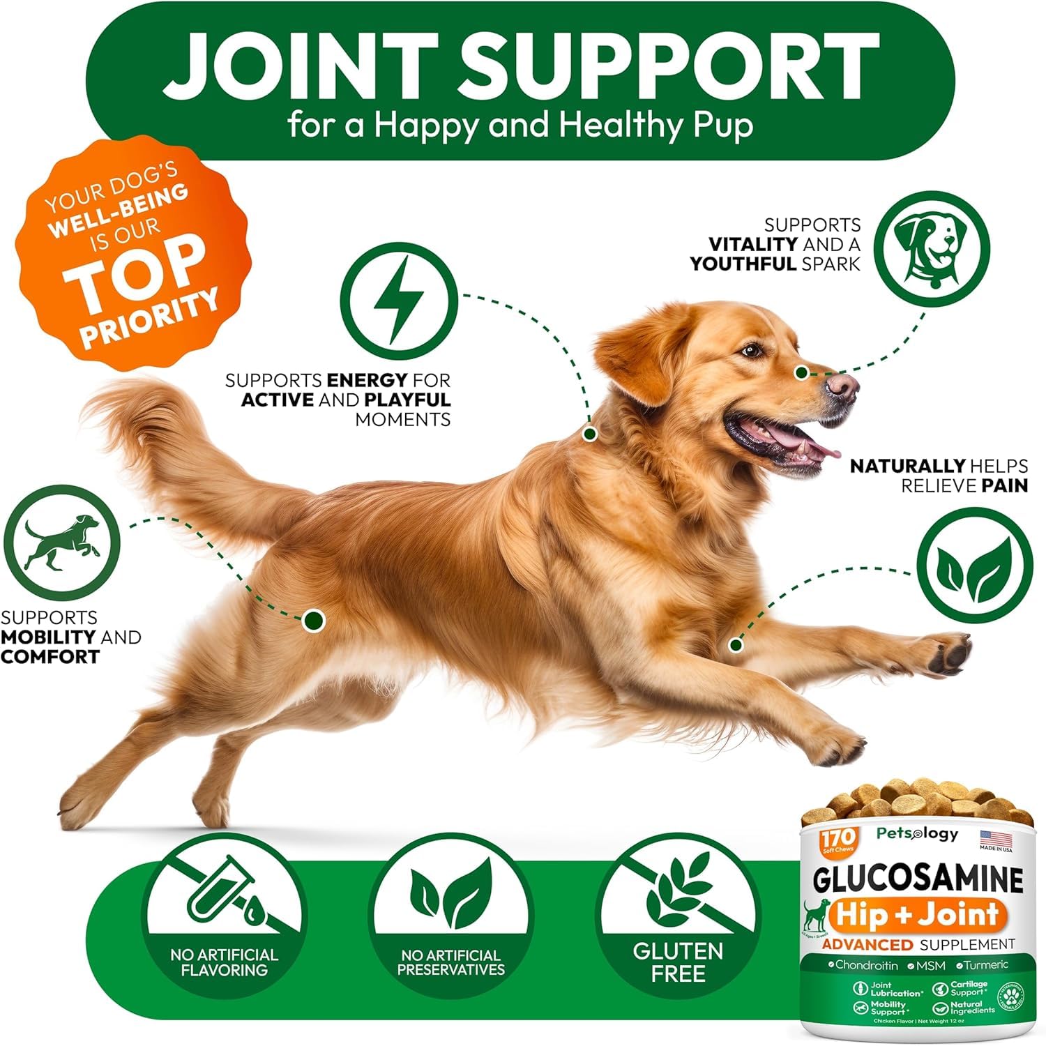 Petsology joint health chews closeup bottle label conveys USA-made quality and veterinarian-developed support.