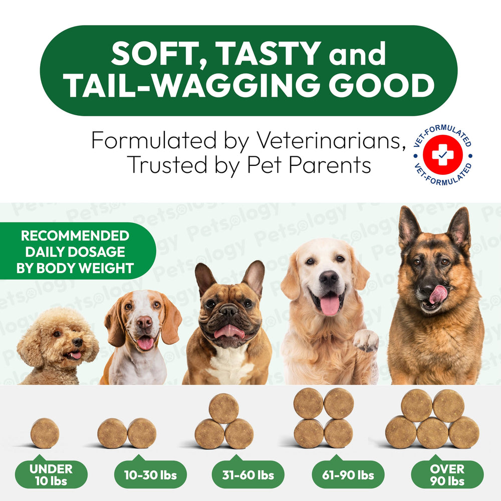 Petsology treats made in USA in an FDA-registered facility for safety.
