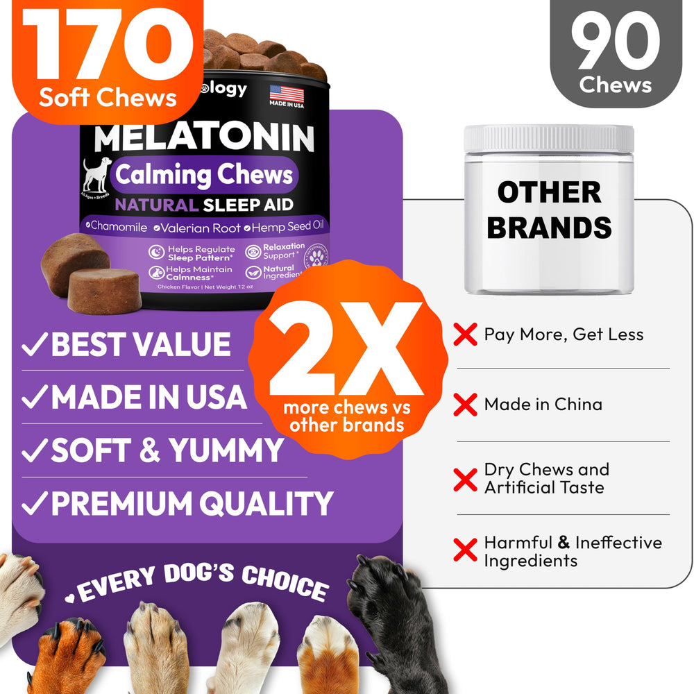 Petsology night-time-support-melatonin-dog-chews illustrates handling fireworks or storms.