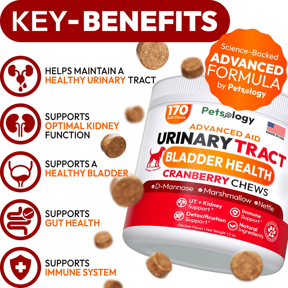 Petsology masticables con d-manosa y arándano para perros.