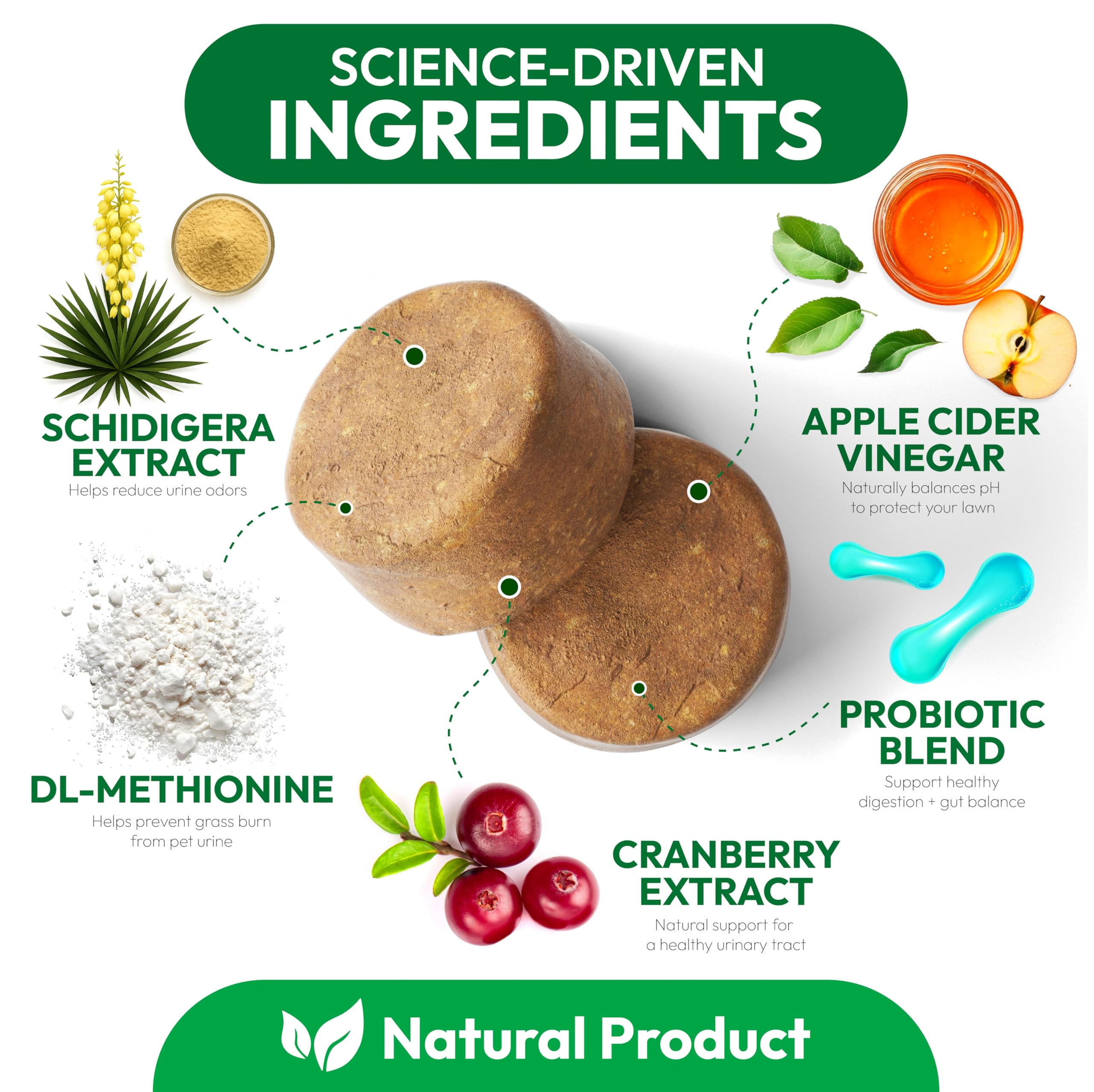 Petsology Probiotics Digestive Enzymes close-up illustrates gut and urinary support.