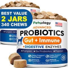 Petsology Probiotics for Dogs 2-pack bottle front supports daily gut balance and ease of digestion