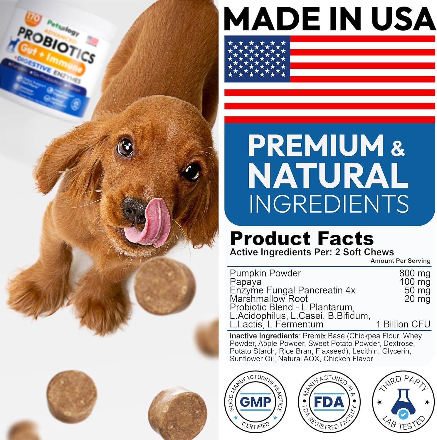 Petsology Probiotics for Dogs wellness scene shows potential comfort after meals