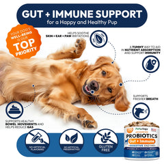 Petsology probióticos para perros, digestión mejorada, enzimas digestivas en primer plano.