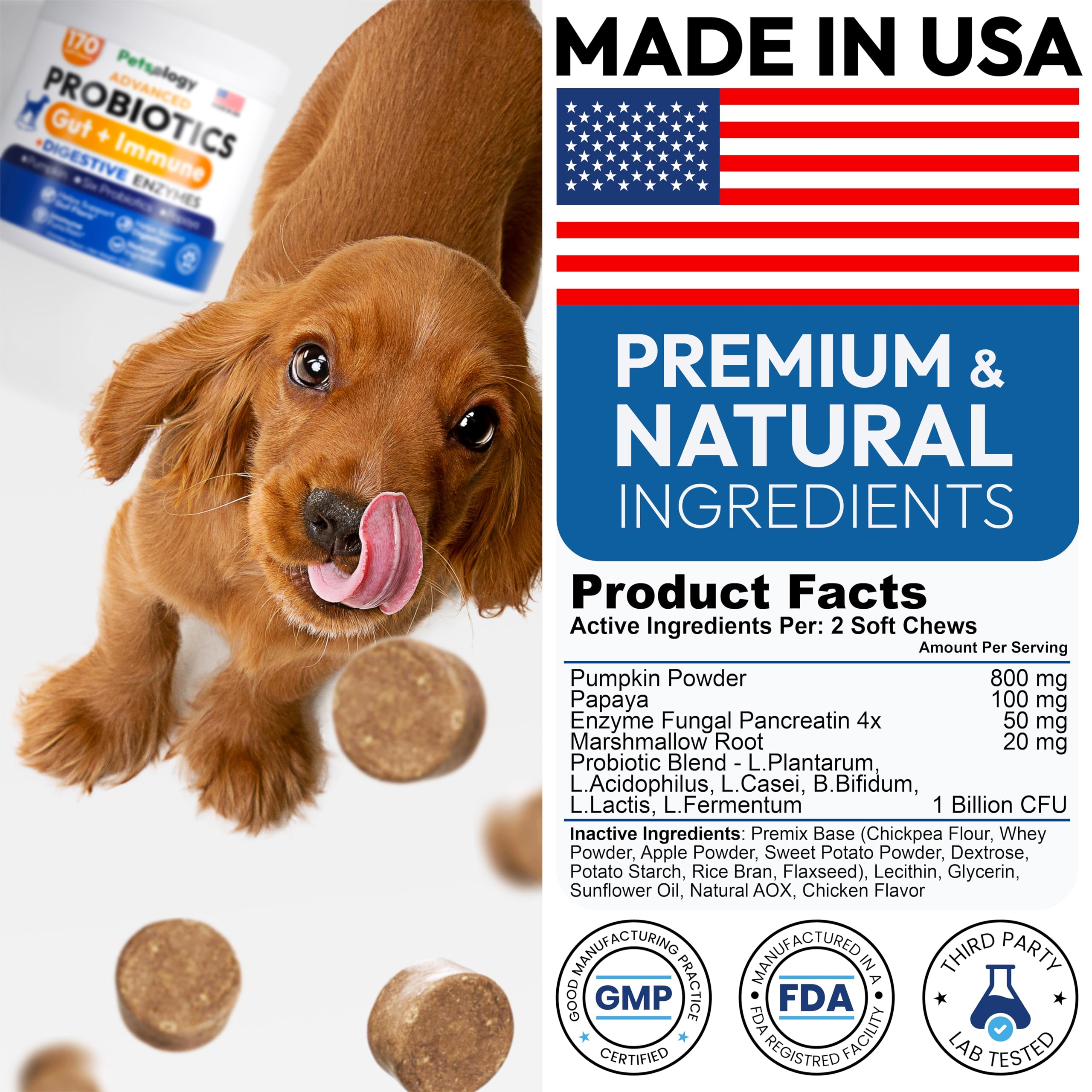 Petsology probióticos para perros, enzimas digestivas, mejora digestión diaria.