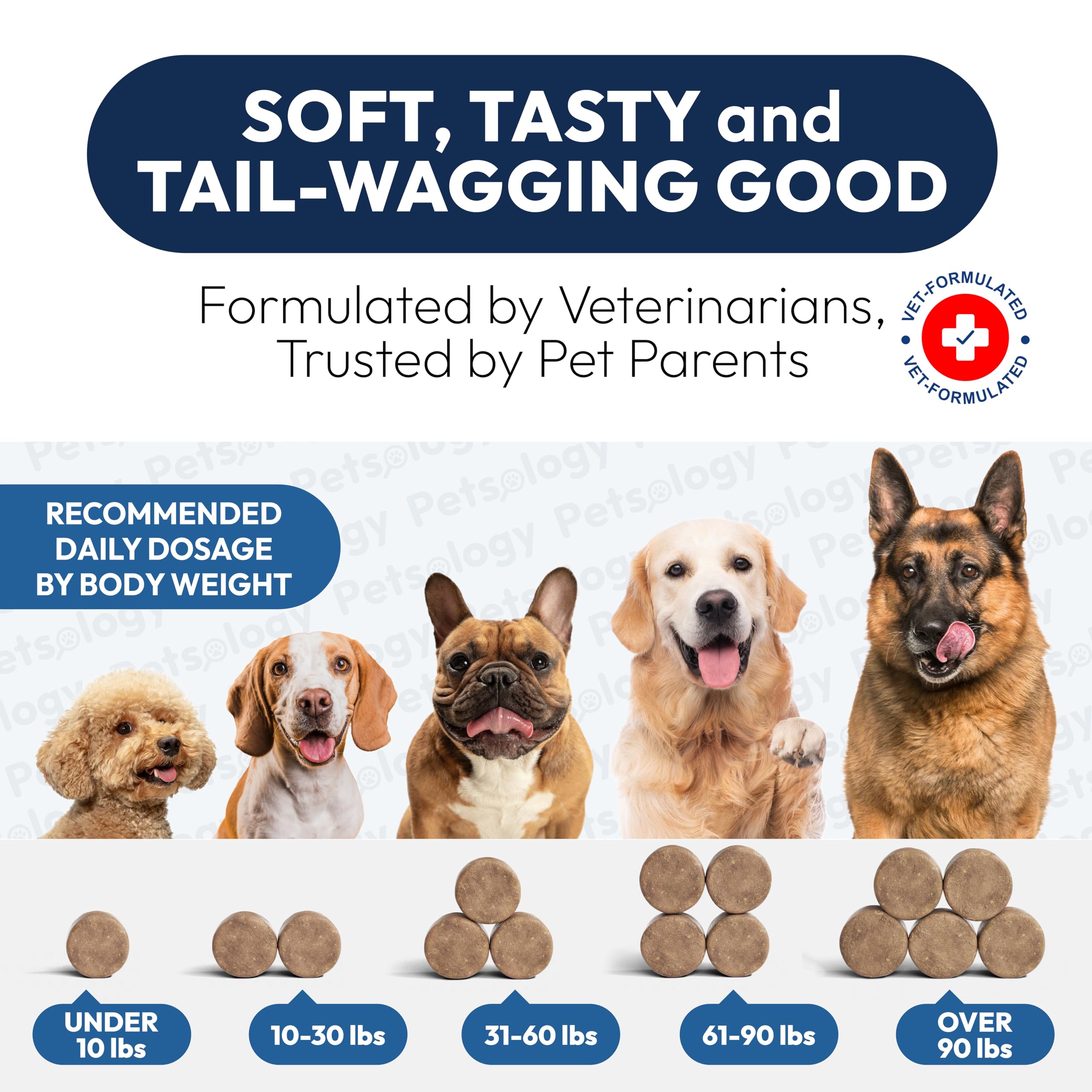 Petsology probióticos para perros, ingredientes prebióticos, apoyo a la microbiota.