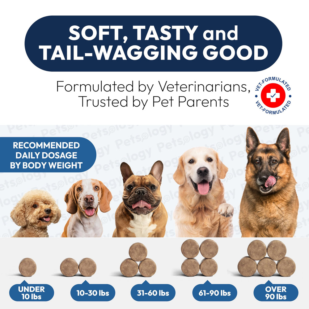 Petsology probióticos para perros, ingredientes prebióticos, apoyo a la microbiota.