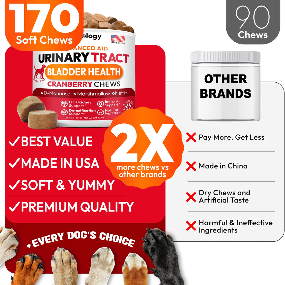 Petsology sabor agradable para perros, masticables diarios para el bienestar.