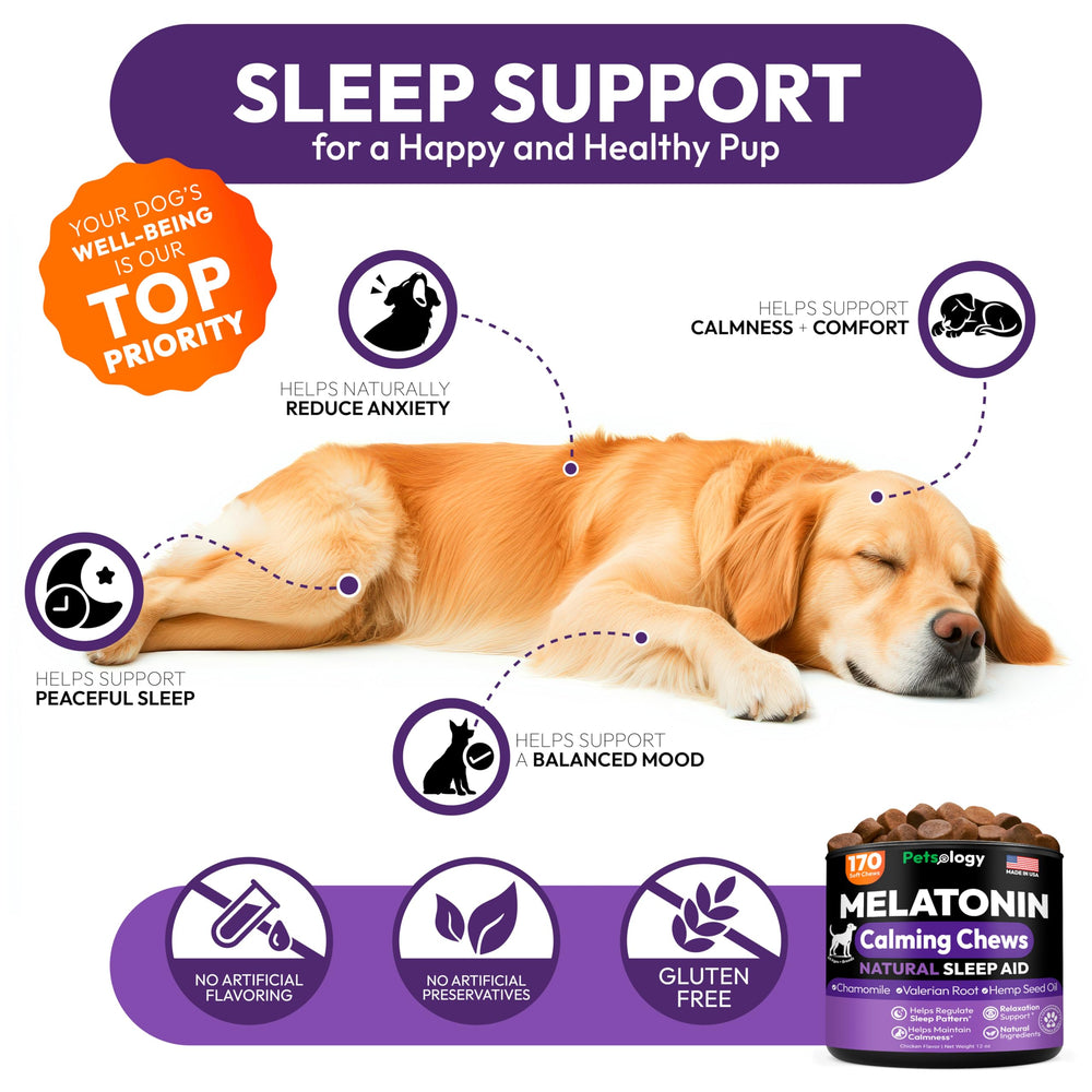 Petsology sleeping-dog-hero-shot highlights restful sleep potential without grogginess.