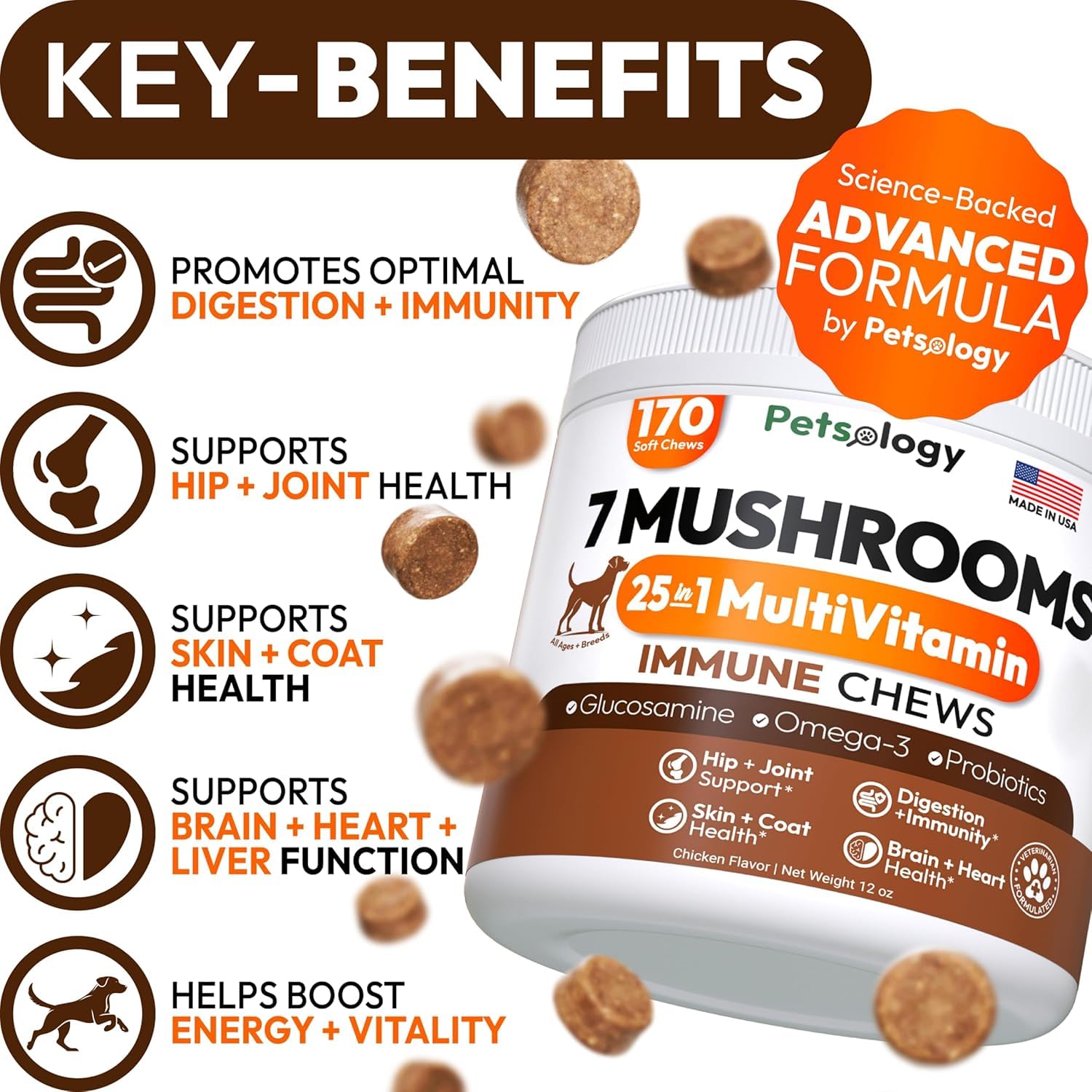 Petsology Turkey Tail dog chews packaging highlights vet-formulated blend for vitality.