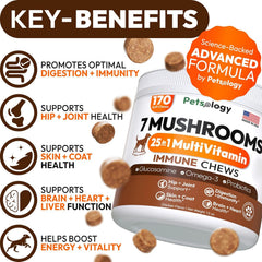 Petsology Turkey Tail dog chews packaging highlights vet-formulated blend for vitality.