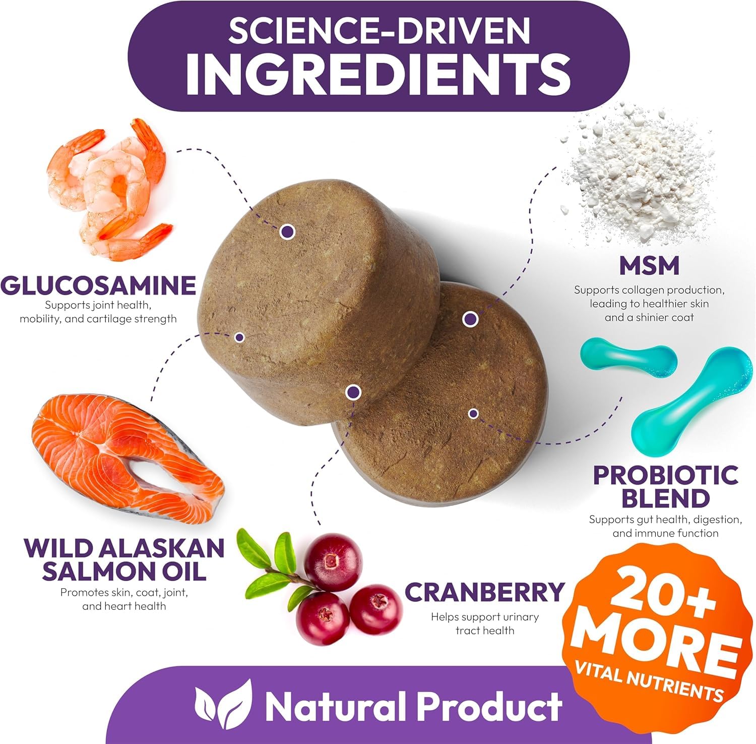 Petsology two-pack dog multivitamin bottles convey value and consistent wellness support.