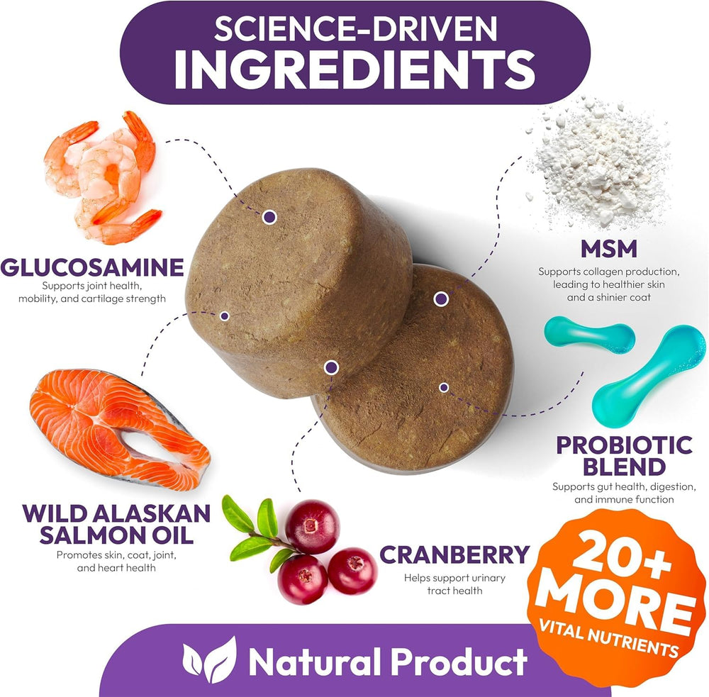 Petsology two-pack dog multivitamin bottles convey value and consistent wellness support.
